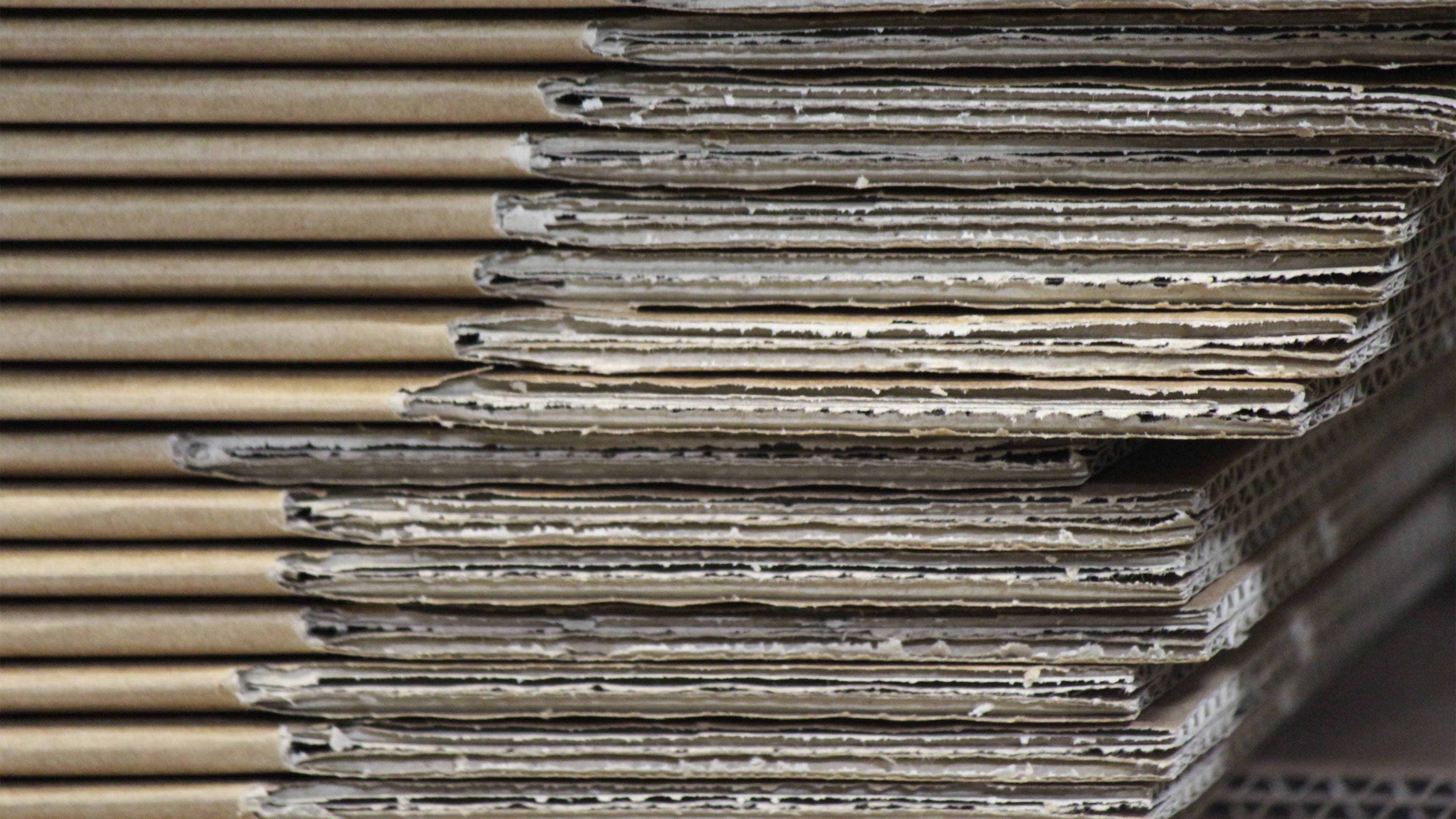 Rheinpack - Vollkarton Verpackungen - Verkaufsverpackungen - Promotionsverpackungen - Süsswarenverpackungen - Geschenkverpackungen - Wellkarton Verpackungen - Graukarton Verpackungen - Stulpdeckelschachel - Klappdeckelschachteln - Archivschachteln - Lagerschachteln - Faltschachteln - Gitterfachstege - Kantenschoner - Rillbox - Ritzbox - Überzogene Verpackungen - RheinDesign - Rohkartonage - Geschenkverpackungen B2B - CAD Verpackungsentwicklung - Beratung Kartonverpackung - Konzeption Kartonverpackung - Produktion Kartonverpackung - Prägedruck Kartonverpackung - Papira® - Papira® Hohlwand Verpackungen - Papira® Schieber Verpackungen - Papira® Eclipse - Papira® Mini Selection - Beutel Verpackung - Schokotafel Verpackung - Papira® LOVE - Rheinpack GmbH: Ihr Partner für Verpackungen aus Karton - von der Konzeption bis zur Realisierung! Rheinpack - Solid cardboard packaging - Sales packaging - Promotional packaging - Confectionery packaging - Gift packaging - Corrugated cardboard packaging - Grey cardboard packaging - Hinged lid boxes - Folding cartons - Archive boxes - Storage boxes - Folding boxes - Grid partition inserts - Edge protectors - Crease box - Score box - Coated packaging - RheinDesign - Raw cardboard packaging - B2B gift packaging - CAD packaging development - Cardboard packaging consultation - Cardboard packaging concept - Cardboard packaging production - Embossed printing cardboard packaging - Papira® - Papira® Hollow wall packaging - Papira® Slider packaging - Papira® Eclipse - Papira® Mini Selection - Bag packaging - Chocolate bar packaging - Papira® LOVE - Rheinpack GmbH: Your partner for cardboard packaging - from concept to realization!